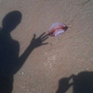 Meet your Posher, Anne